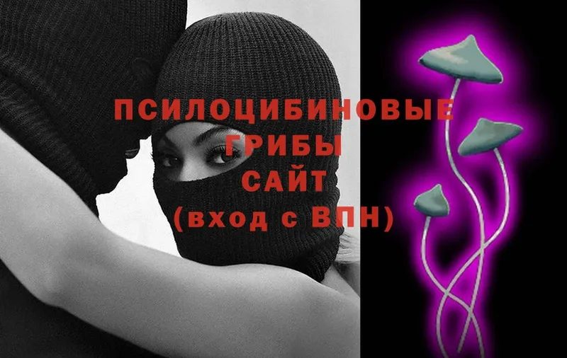 Галлюциногенные грибы Cubensis  Семикаракорск 